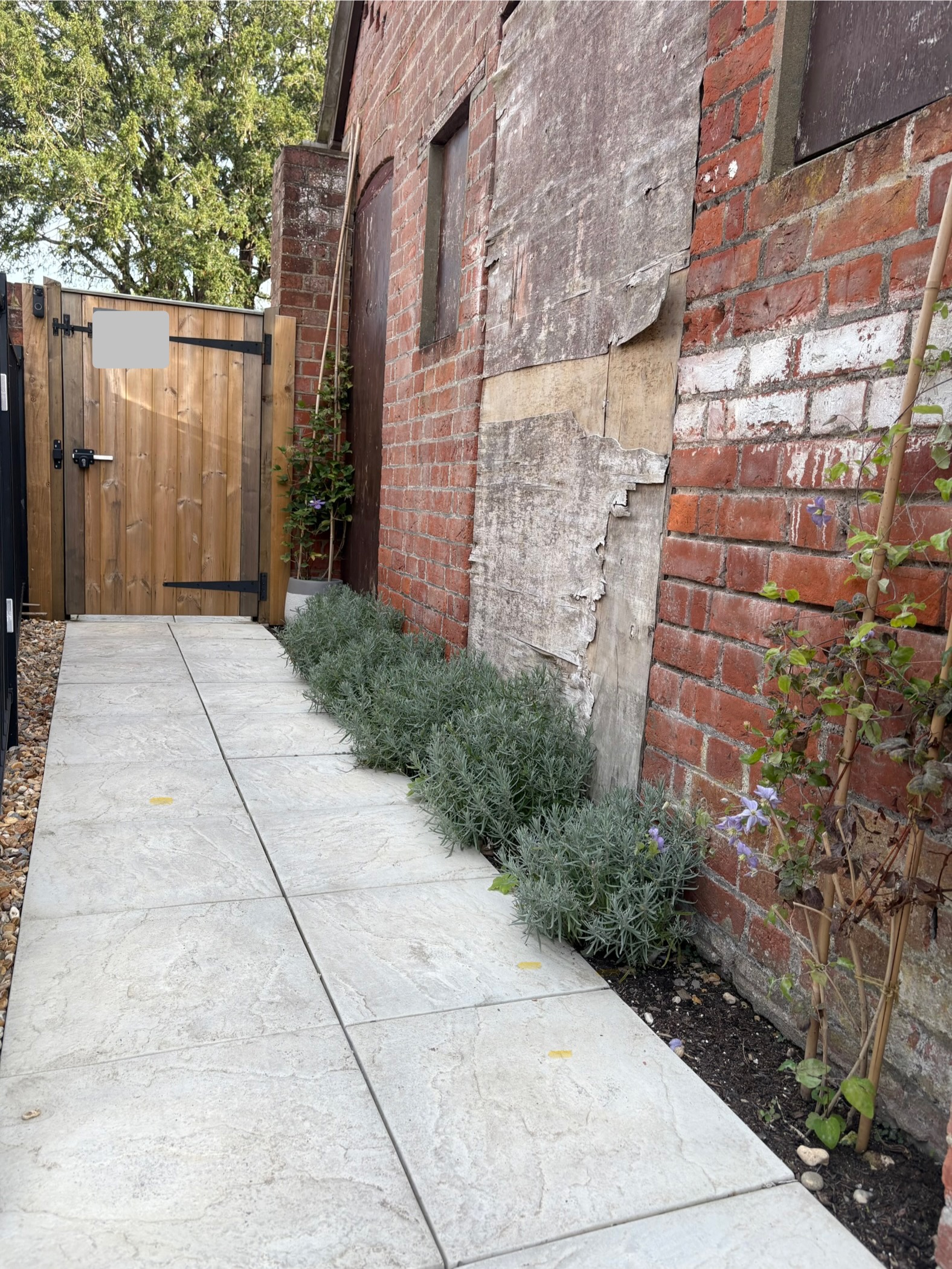 pathway to gate, lined with lavender