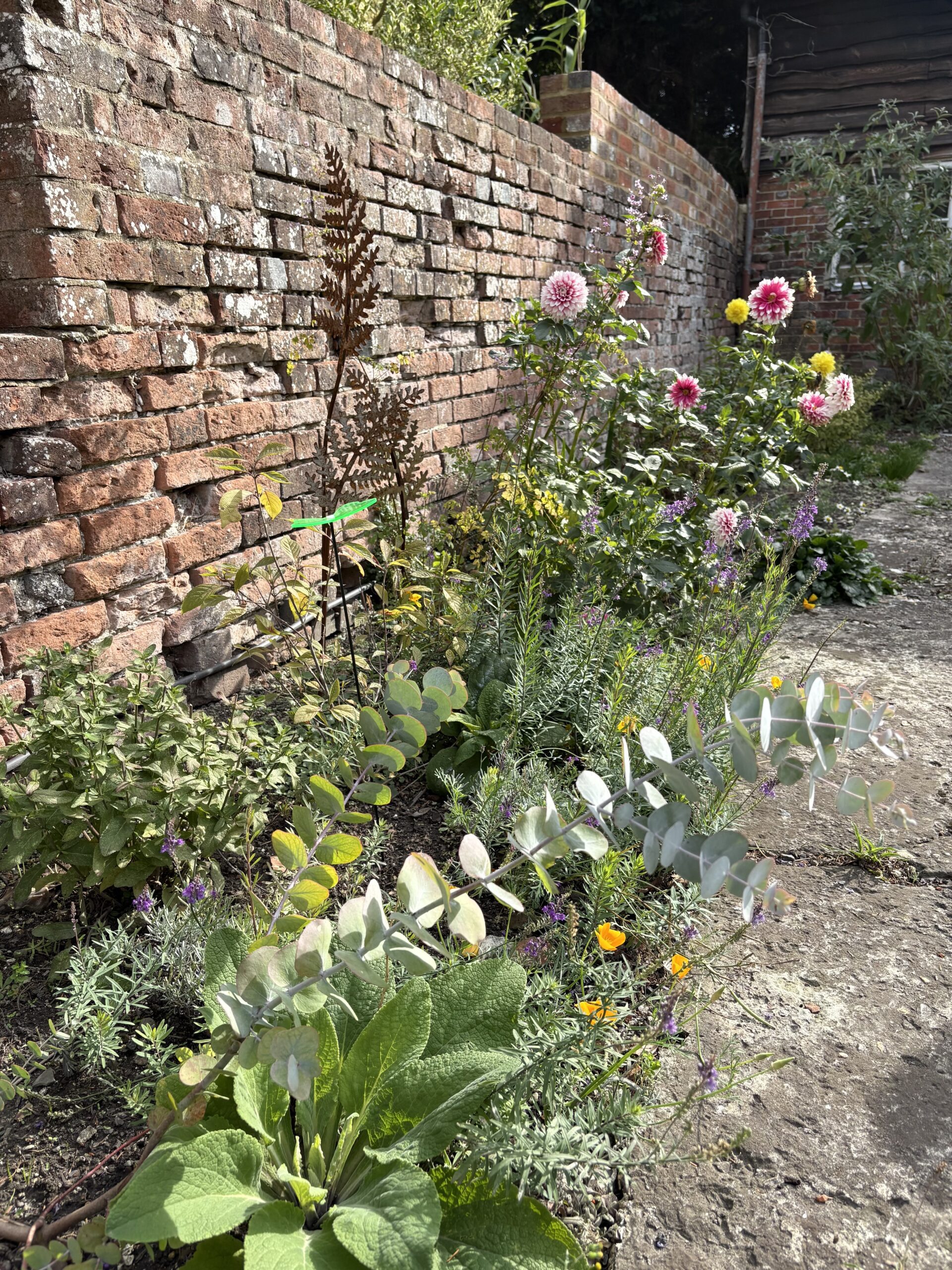 flower bed running along path