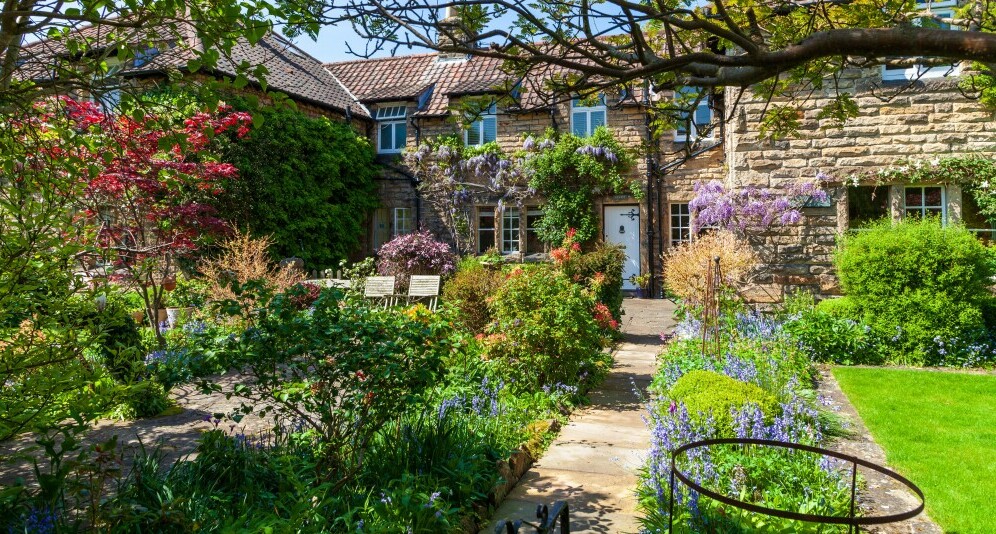 cottage garden