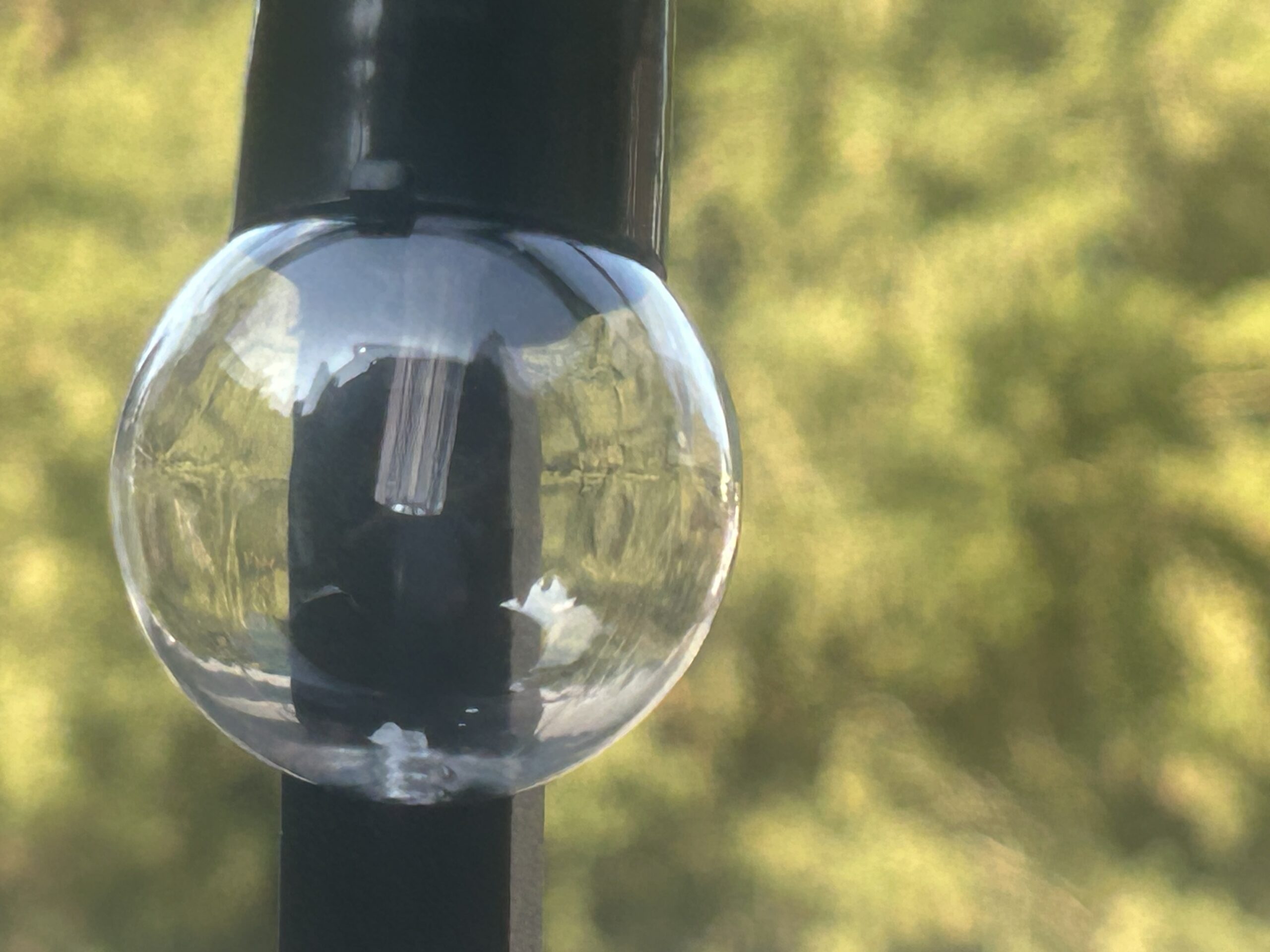 Close up of our festoon fairy lights