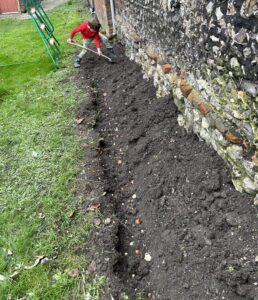 Bulb planting using the trench method