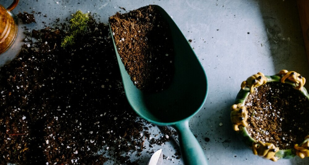 soil testing